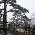 Raichberg 2007 Bild 19